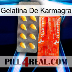 Karmagra Jelly new01